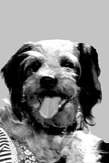 picture of actor Daisy