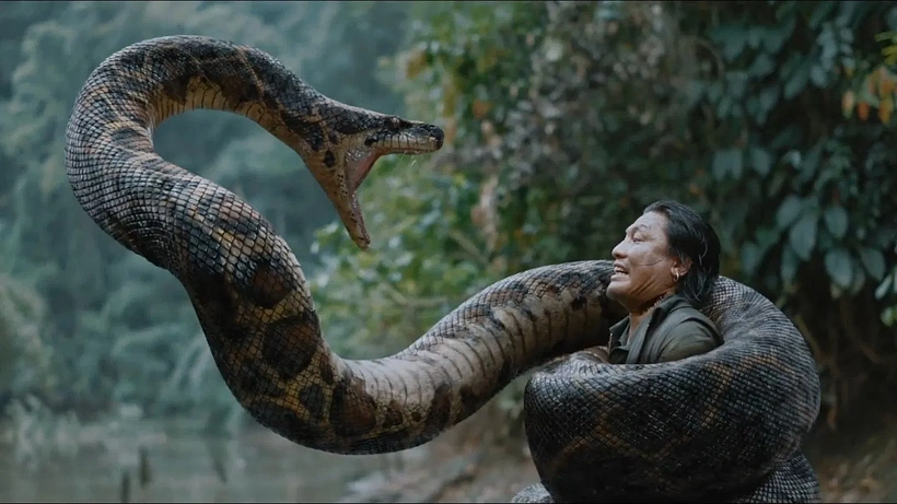 Imagen de Anaconda