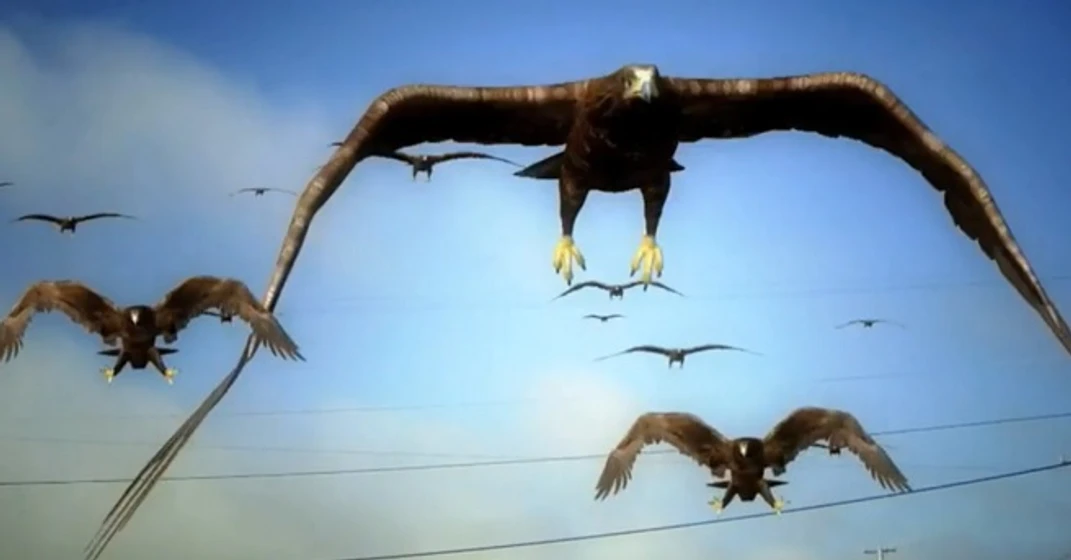 Imagen de birdemic-2-the-resurrection