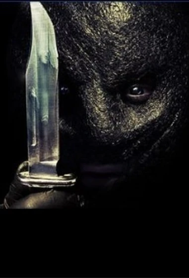 Imagen de the-collection