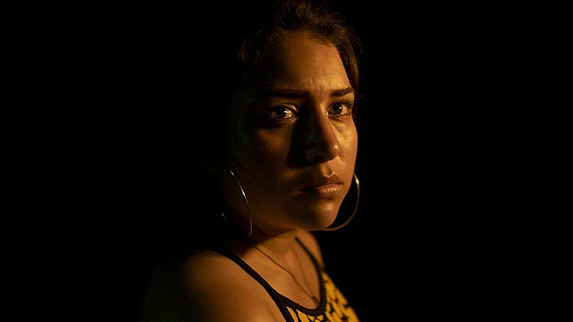 Imagen de La Paloma y el lobo