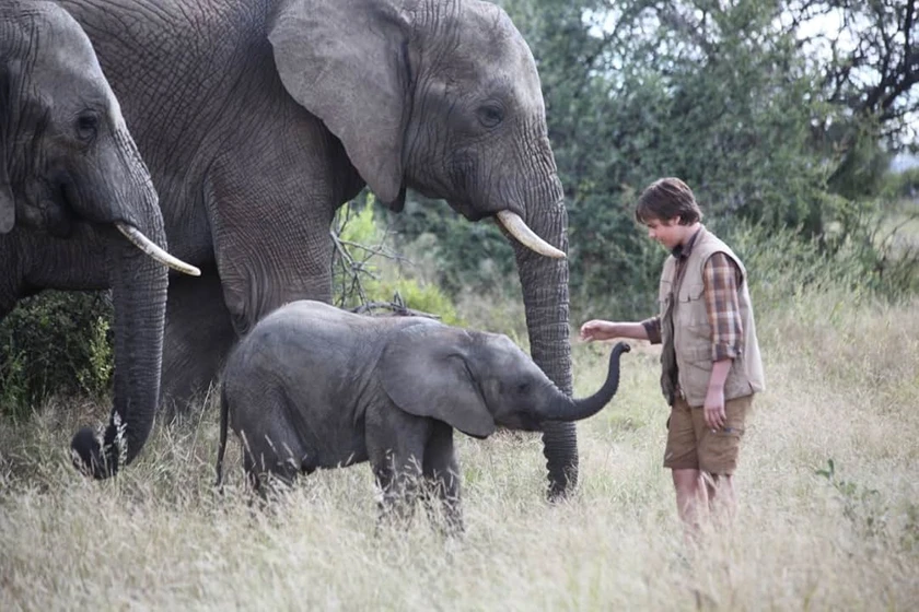 Sam Ashe Arnold en una-aventura-africana