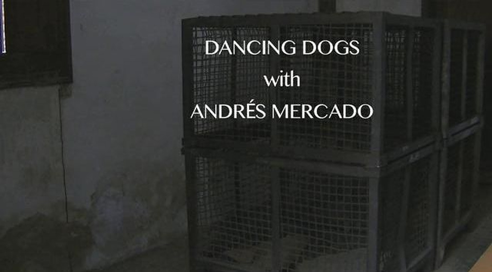 Imagen de Dancing Dogs (Títulos de crédito)