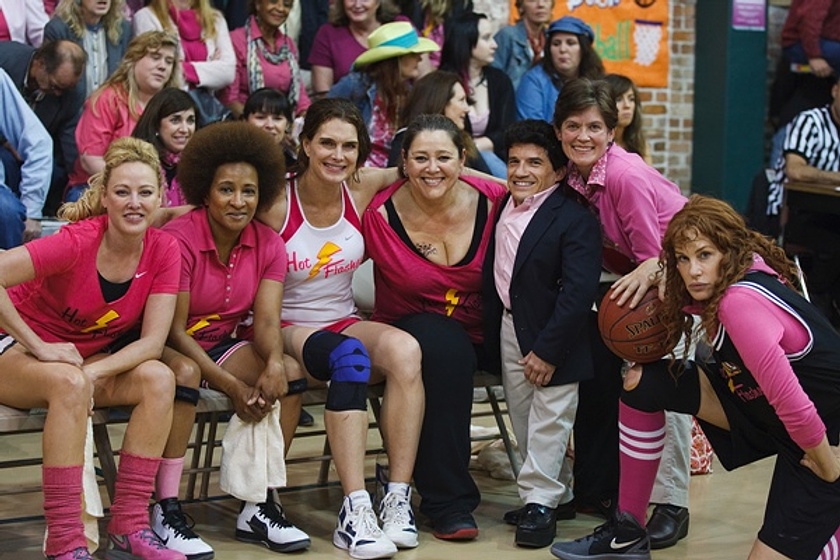 Daryl Hannah, Camryn Manheim, Virginia Madsen, Brooke Shields, Wanda Sykes y Mark Povinelli en A por ellas (Los Sofocos)