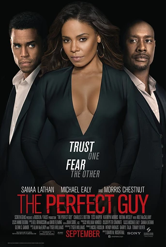 Poster de The Perfect Guy