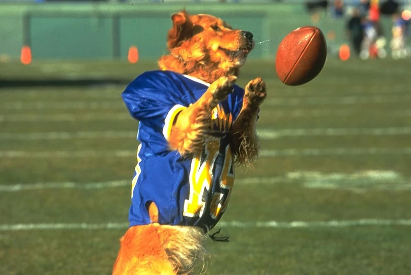 Imagen de air-bud-2-el-fichaje-de-la-liga