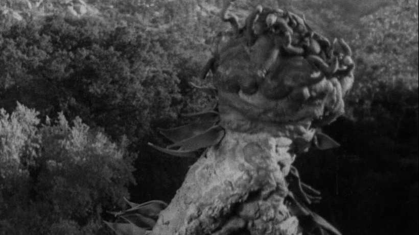 Imagen de The Creeping Terror