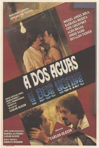 Poster de A Dos Aguas