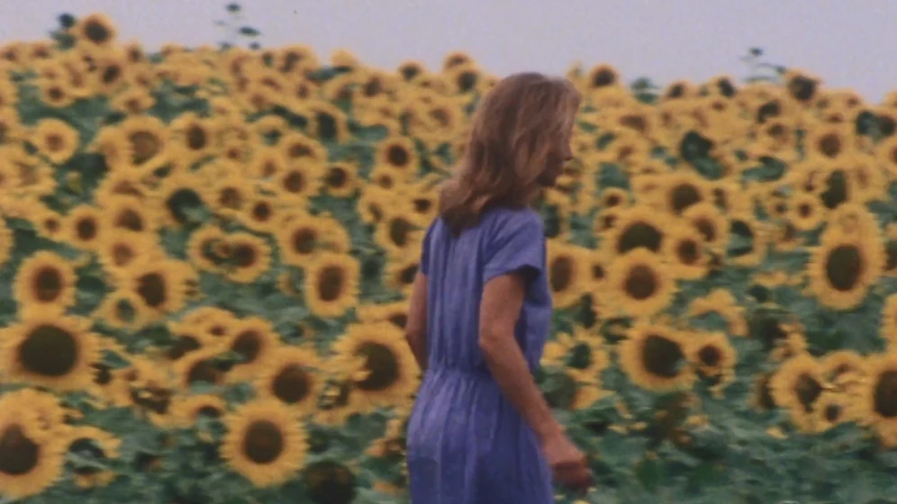 Imagen de une-petite-fille-dans-les-tournesols