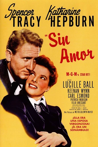 Poster de Sin amor