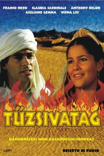 Poster de Desierto de Fuego