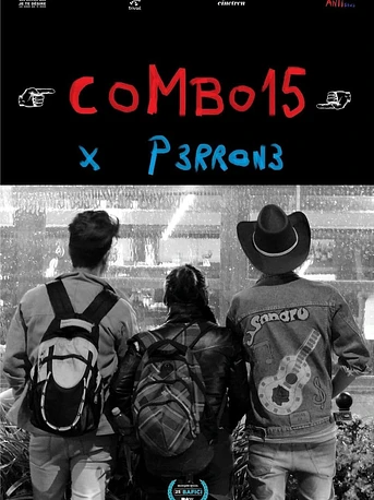 Poster de COMBO15