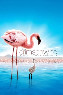 poster of movie The Crimson Wing: Mystery of the Flamingos