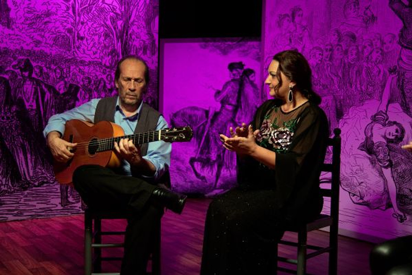 Imagen de Flamenco, flamenco