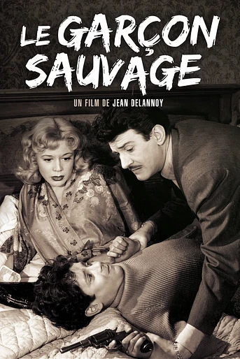 Poster de Le Garçon Sauvage