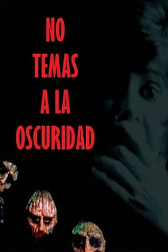 Poster de Frío en la noche