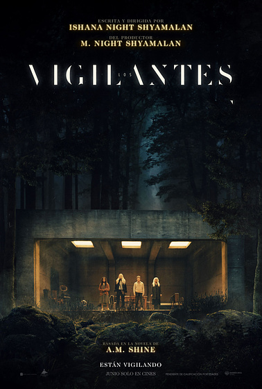 Imagen de Vigilantes (Cartel español)