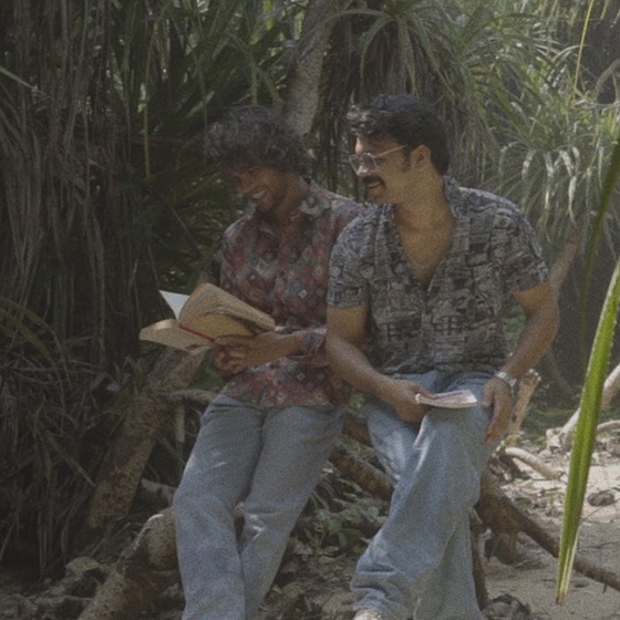 Imagen de Riptide