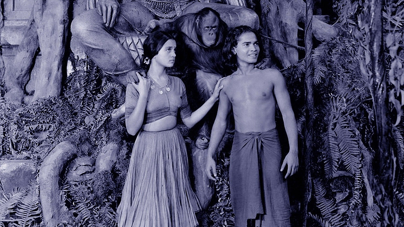 Imagen de El Libro de la Selva