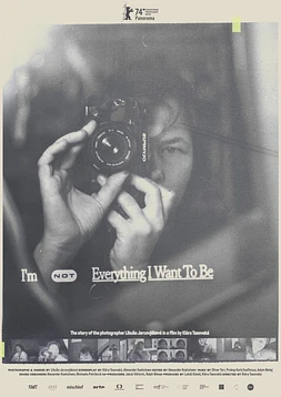 poster of movie I’m Not Everything I Want To Be
