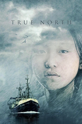 Poster de True north