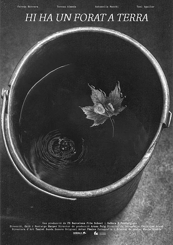 Poster de Hi ha un forat a Terra