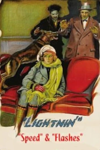 Poster de Lightnin' Flashes