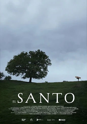 Poster de El Santo