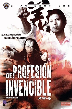 poster of movie De Profesión Invencible