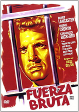 poster of movie Fuerza Bruta