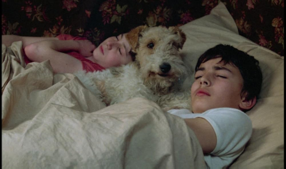 Samy Ben-Youb en madame-rosa