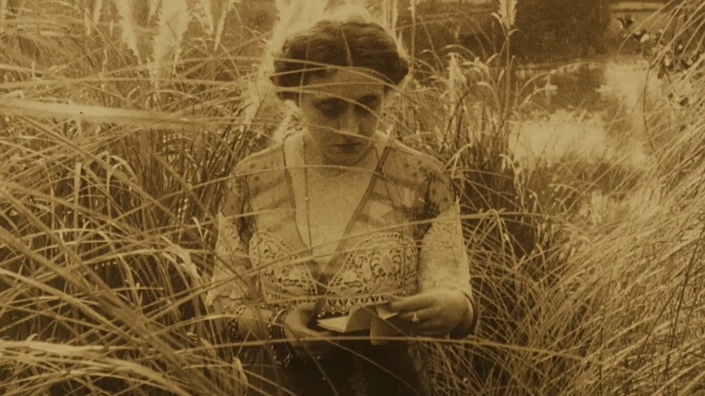 Imagen de flor-del-mal