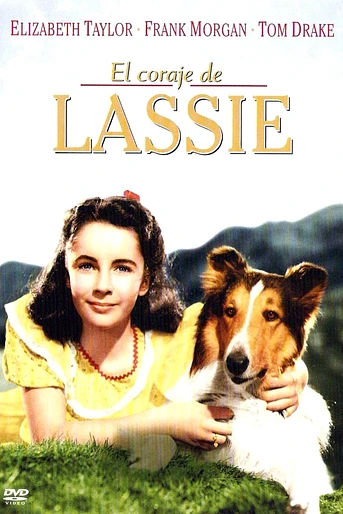 Poster de El Coraje de Lassie