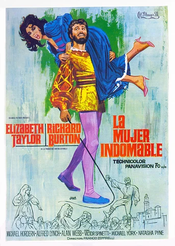 Poster de La Mujer indomable