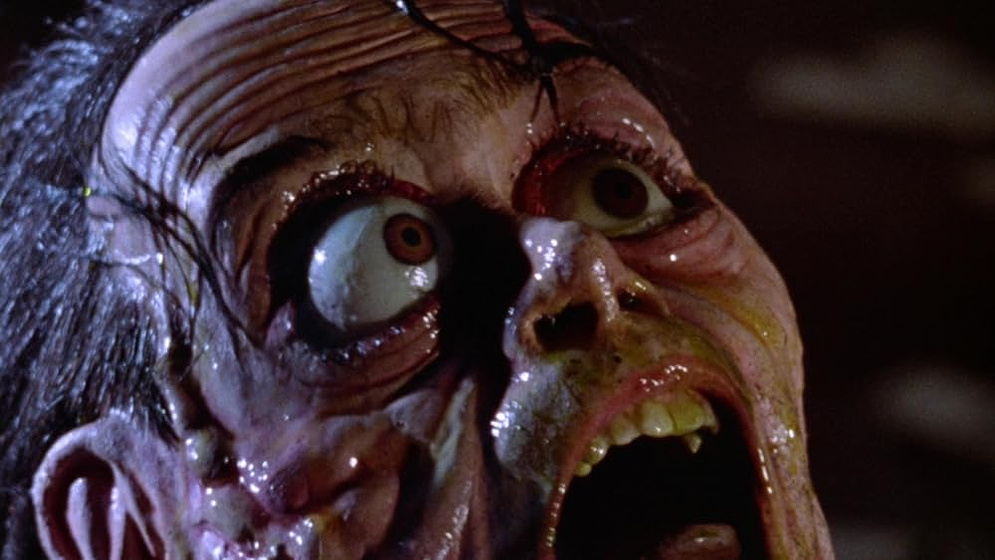 Imagen de mosquito-1994