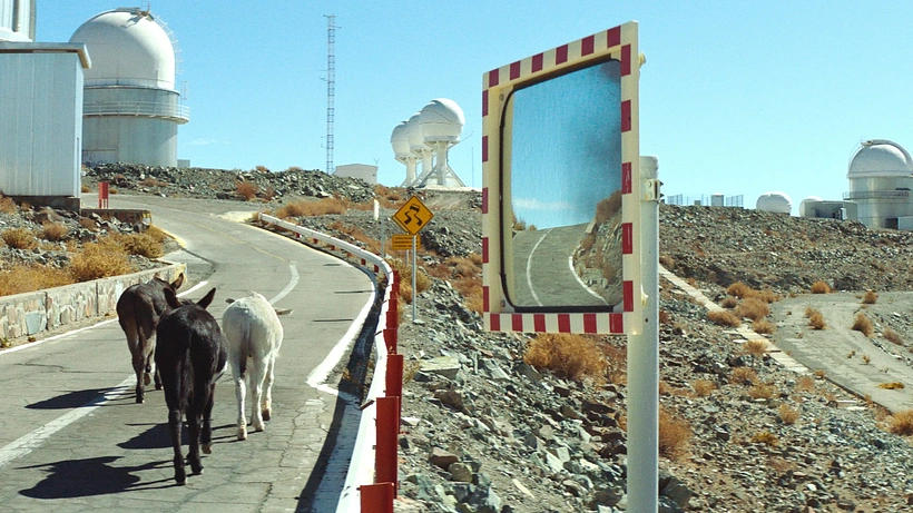 Imagen de Perfectly a Strangeness