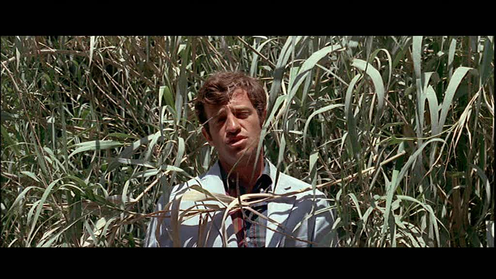 Jean-Paul Belmondo en Pierrot el loco