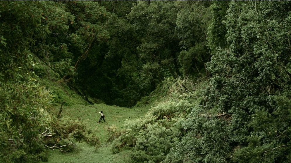 Imagen de Crumbs