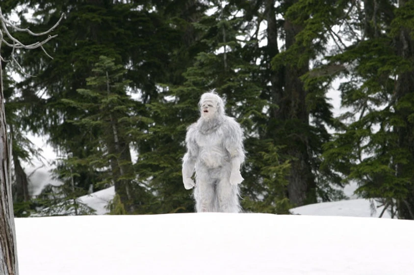 Imagen de yeti-la-maldicion-del-demonio-blanco