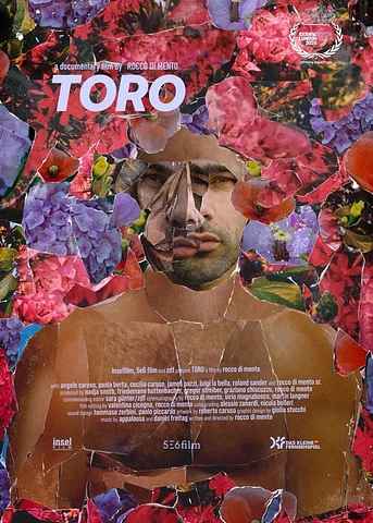 Poster de Toro