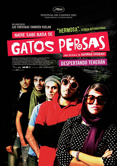 Imagen de Nadie sabe nada de gatos persas (Cartel)