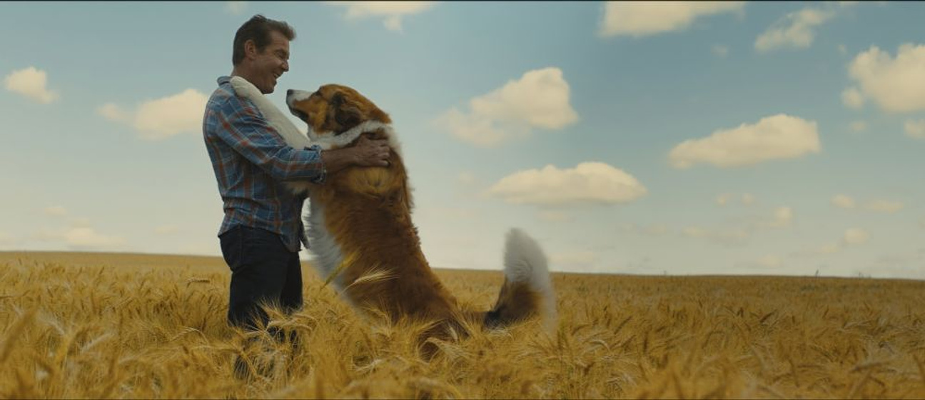 Kathryn Prescott en Tu Mejor Amigo: un Nuevo Viaje