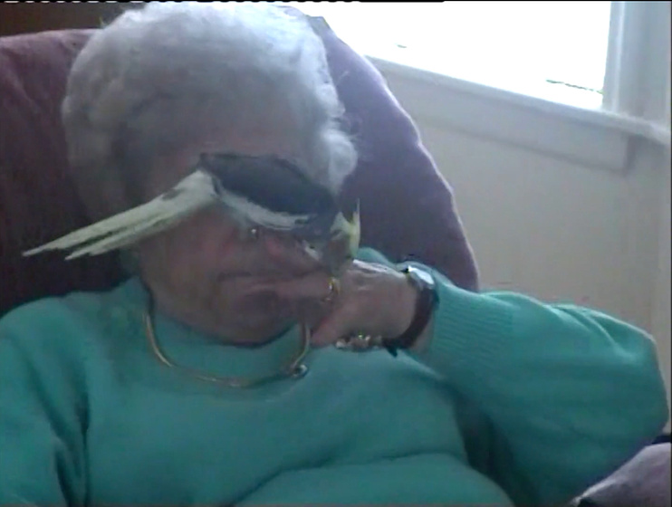 Imagen de between-two-voids