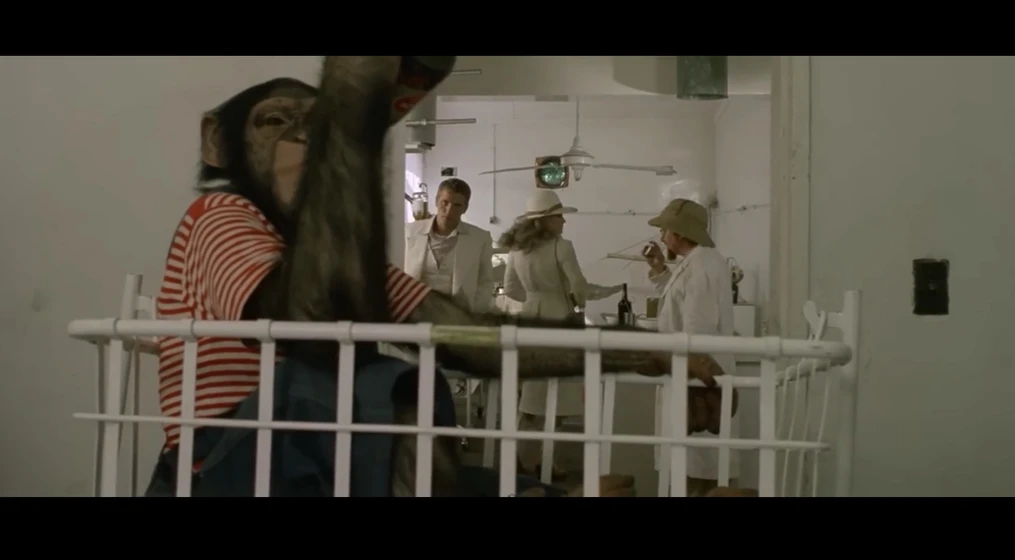 Imagen de safari-express