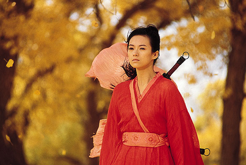 Ziyi Zhang en Hero