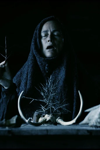 Poster de Mother of Flies