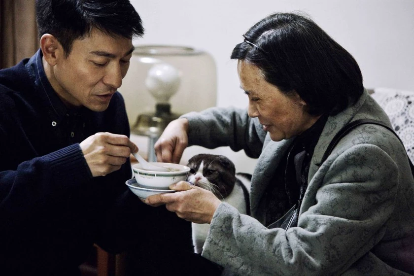 Andy Lau y Deannie Yip en una-vida-sencilla
