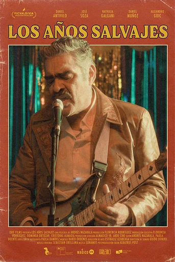 Poster de The Wild Years