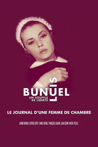 Poster de El Diario de una camarera