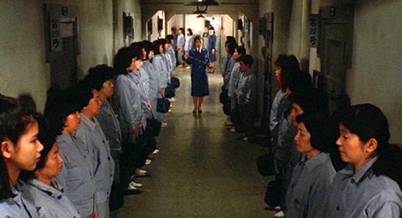 Imagen de Women in Heat Behind Bars